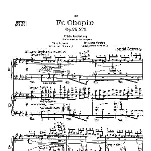 53首以肖邦练习曲为素材而作的练习曲 钢琴谱 里奥鲍尔德 戈多夫斯基