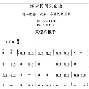 风流八板子 湖南民间乐曲选 洪滔 贾古记谱