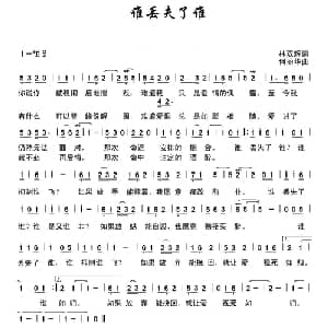 谁丢失了谁_通俗唱法乐谱_词曲:林双辉 何丽华