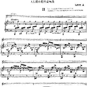 小提琴谱 | 法朗克 A大调小提琴奏鸣曲 II 小提琴 钢琴伴奏 法朗克