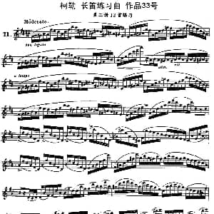 长笛曲谱 | 柯勒长笛练习曲作品33号 第二册 11 埃内斯托 柯勒 ERNESTO KOEHLER