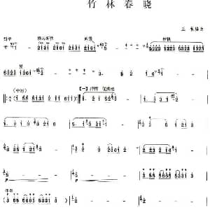 葫芦丝谱 | 竹林春晓 王锐