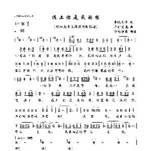 遇上你是我的缘_歌曲简谱_词曲:昂旺文章 才仁巴桑