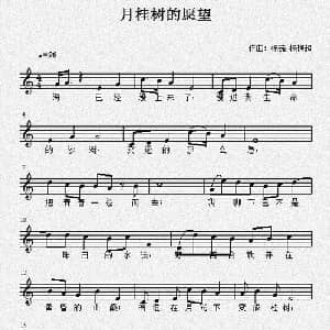 月桂树的愿望_通俗唱法乐谱_词曲: 杨茹 杨艳超