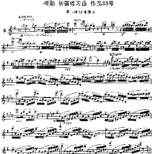 长笛曲谱 | 柯勒长笛练习曲作品33号 第二册 3 埃内斯托 柯勒 ERNESTO KOEHLER