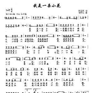 我是一朵小花_通俗唱法乐谱_词曲:郝艺英 韦柯杠