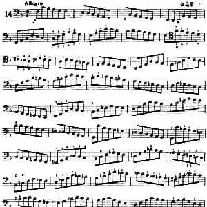 鲍斯特列姆大提琴练习曲 14 15