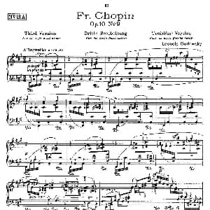 肖邦 练习曲 Fr.Chopin Op.10 No9 3 钢琴谱 Godowsky改编