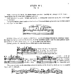 12 Etudes Op.10 柯尔托教学版 钢琴谱 弗雷德里克 弗朗索瓦 肖邦
