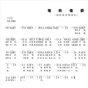 老夫老妻_民歌简谱_词曲:文云 文云