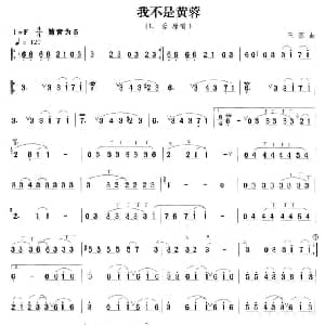 笛子谱 | 我不是黄蓉 王蓉