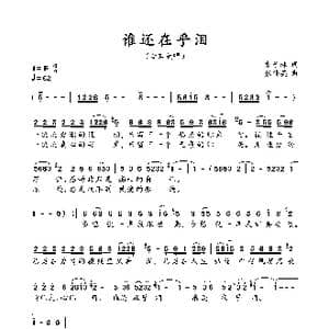 谁还在乎泪_歌曲简谱_词曲:袁子林 张伟英