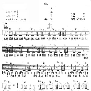 完美 吉他谱 王蓉 王蓉 王蓉