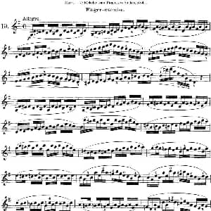 小提琴谱 | 马扎斯小提琴练习曲 Op.36 第一册 特殊练习曲 19