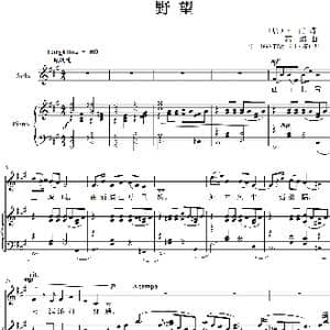 野望_歌曲简谱_词曲:杜甫 葛清