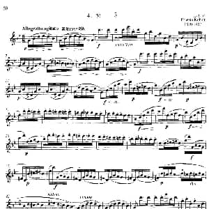 长笛曲谱 | 中高级练习 断奏练习 乐曲部分 喷泉