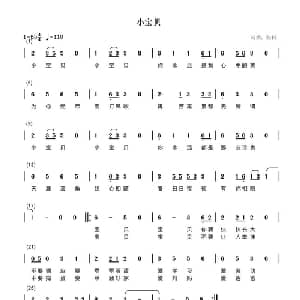 小宝贝_通俗唱法乐谱_词曲:张科 张科