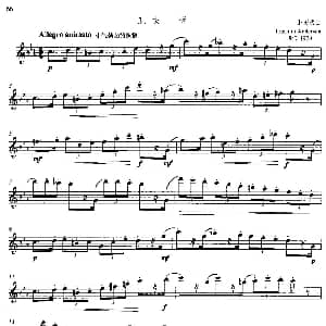 长笛曲谱 | 中高级练习 节奏练习 乐曲部分 快板 J 安德生