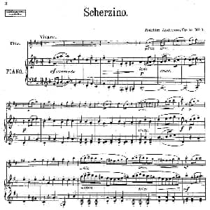 长笛曲谱 | Scherzino Op.55 No.6 长笛 钢琴伴奏 丹麦 安德森