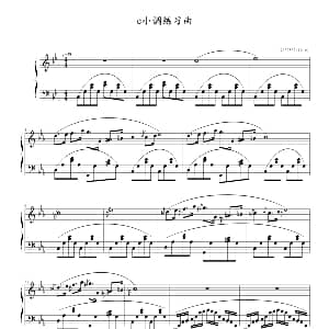 c小调练习曲 钢琴谱 9632587410