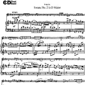 小提琴谱 | Violin Sonata No.2 in D Major 小提琴 钢琴伴奏