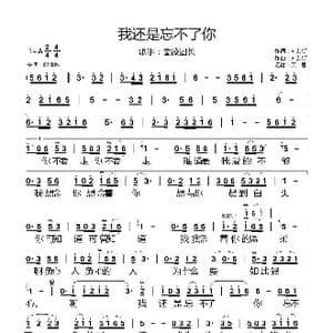 我还是忘不了你_歌曲简谱_词曲:刘艺新 刘艺新