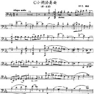 小提琴谱 | C小調协奏曲 第一乐章