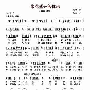 梨花盛开等你来_歌曲简谱_词曲:文 晨见