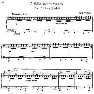 在那遥远的地方 钢琴谱 储望华改编