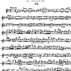 长笛曲谱 | 图露三首长笛简易重奏曲Op.104 Flute 2 NO.3 Tulou 图露