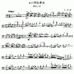 a小调协奏曲 第三乐章 大提琴 Q 里定