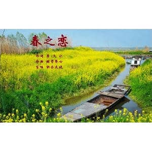 春之恋_歌曲简谱_词曲:李大江 酷哥繁心