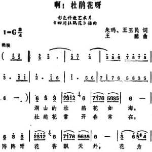 啊！杜鹃花呀_民歌简谱_词曲:朱玛 王玉民 王酩