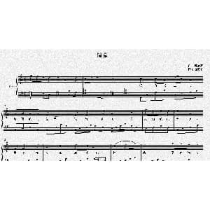 情意 钢琴谱 翟亦菲 张娟萍