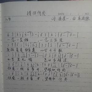 情归何处_歌曲简谱_词曲:流星一 袁进德