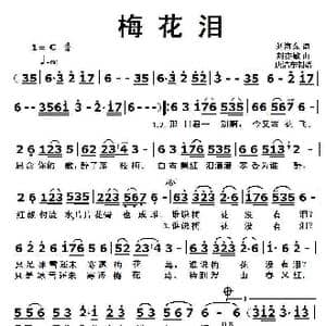 梅花泪_歌曲简谱_词曲:刘海东 刘亦敏