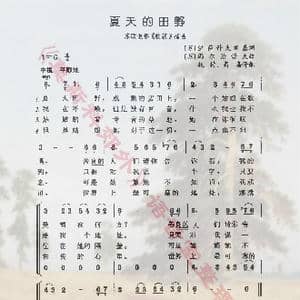 夏天的田野_歌曲简谱_词曲:伊萨科夫斯基 马尔恰诺夫