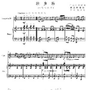 壮乡乐 小号 钢琴