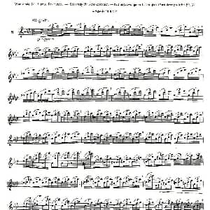 长笛曲谱 | 12首大技巧练习曲之8 Moyse 莫伊斯