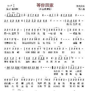 等你回家_歌曲简谱_词曲:王双义 贾凡