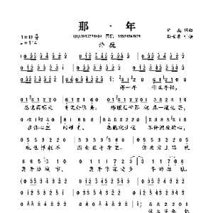 那一年_歌曲简谱_词曲:许巍 许巍