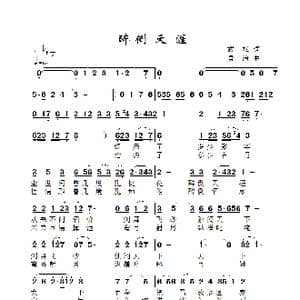 醉倒天涯_歌曲简谱_词曲:武斌 景治