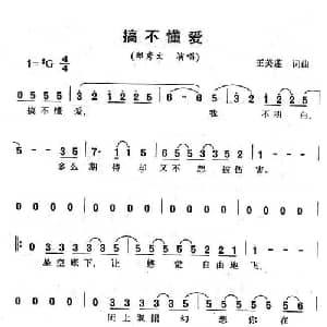 搞不懂爱_通俗唱法乐谱_词曲:王美莲 王美莲