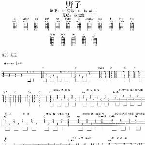 野子 吉他谱 苏运莹