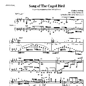 小提琴谱 | Song of a Caged Bird 小提琴 钢琴伴奏 Lindsey Stirling
