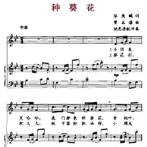 种葵花_儿歌乐谱_词曲:陈庚鹂 曹正谦