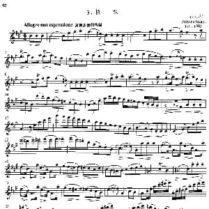 长笛曲谱 | 中高级练习 断奏练习 乐曲部分 快板 A 休哥特