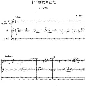 十年生死两茫茫 民乐三重奏 戴德作曲版 戴德