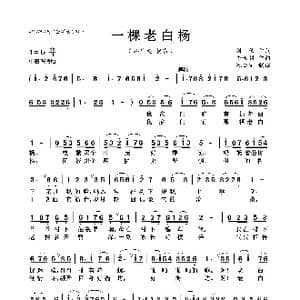 一棵老白杨_歌曲简谱_词曲:刘伟 牛世强