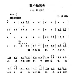 我不是黄蓉_通俗唱法乐谱_词曲:王蓉 王蓉